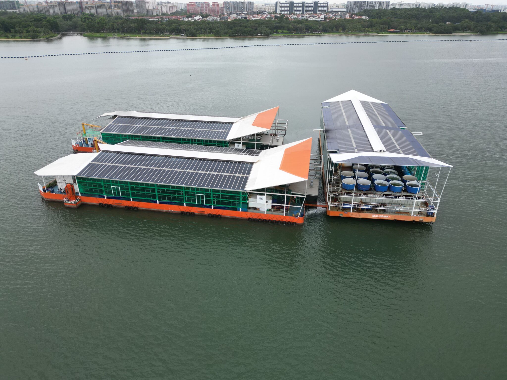 新加坡养殖工船