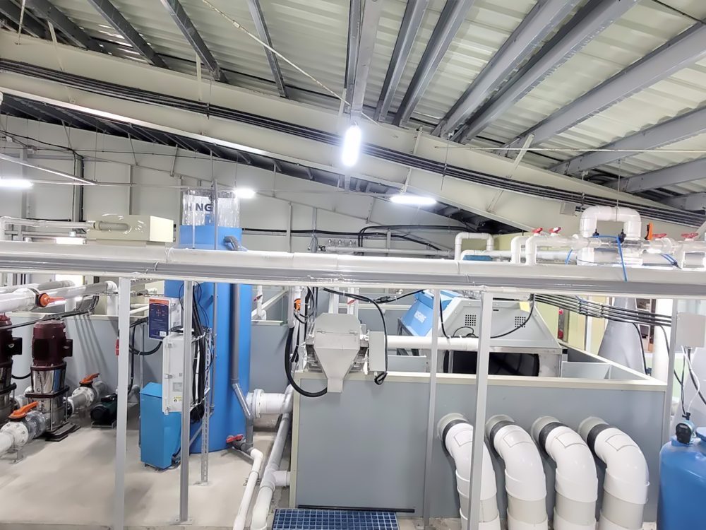 韩国 - 陆基大西洋鲑鱼循环水与尾水-海水