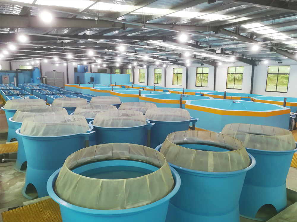 贵州三穗- 淡水鱼类 - 淡水