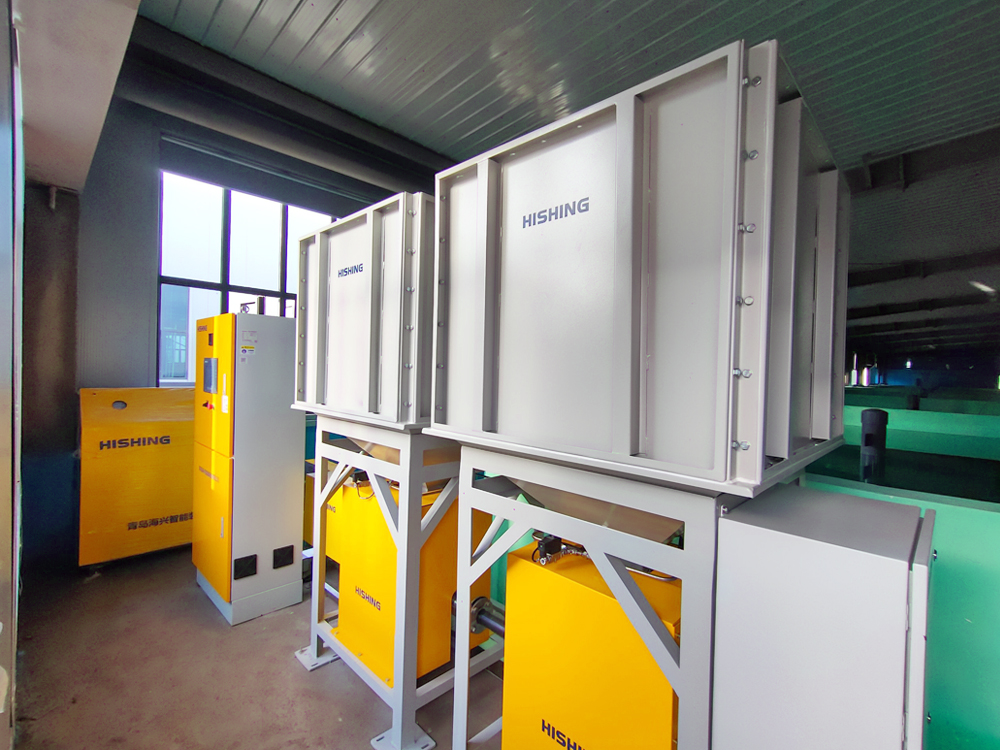 山东微山 - 加州鲈鱼 - 淡水